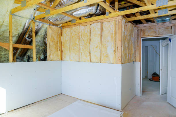 Best Types of Insulation in Woodlands, CA